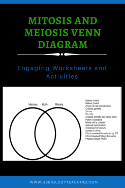 Venn diagram for mitosis and meiosis
