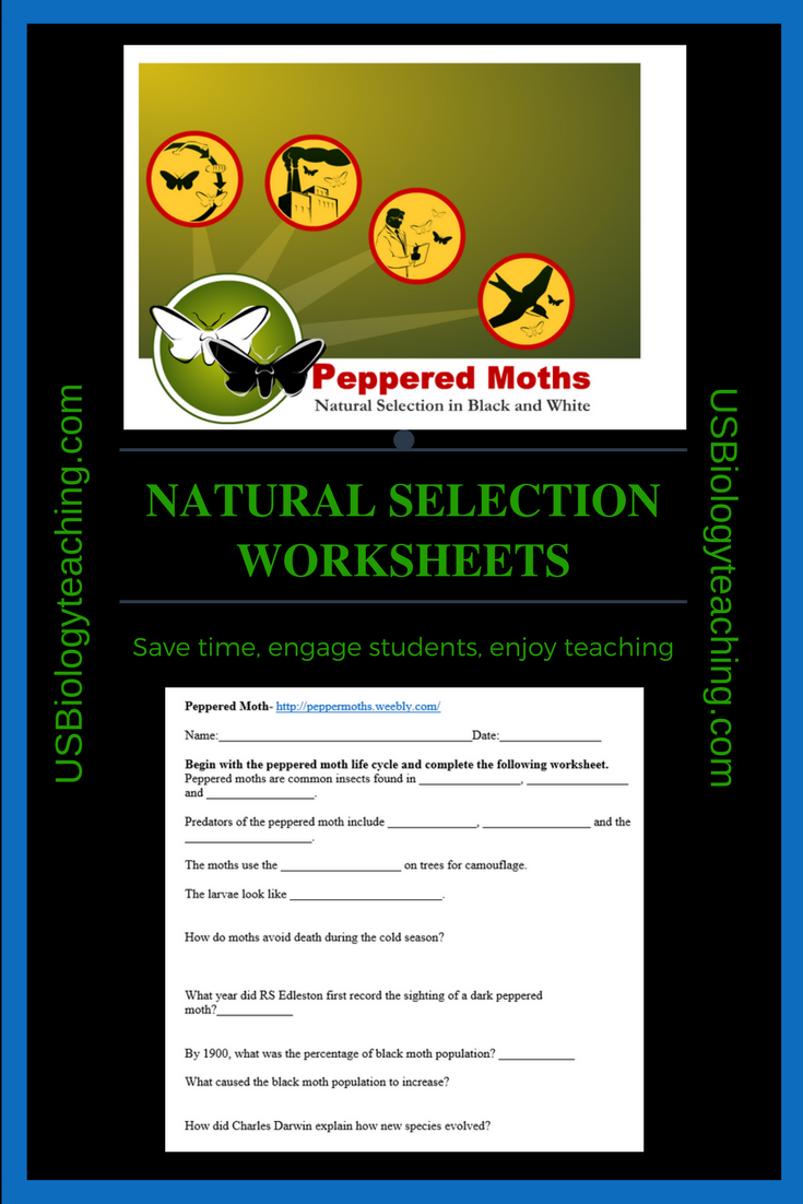 Evolution and Natural Selection Worksheets - USBiologyTeaching.com In Evolution And Natural Selection Worksheet